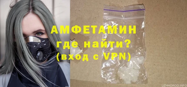 ГАЛЛЮЦИНОГЕННЫЕ ГРИБЫ Сосновка
