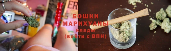 ГАЛЛЮЦИНОГЕННЫЕ ГРИБЫ Сосновка