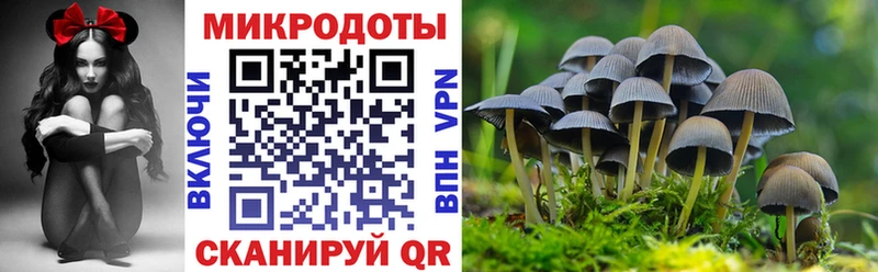 Галлюциногенные грибы мухоморы  Новотитаровская 